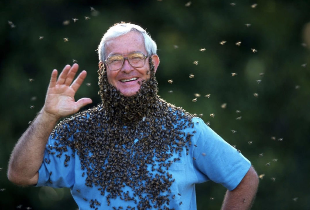 Mjeku shpik mënyrën si tu afrohet bletëve pa rrezik.