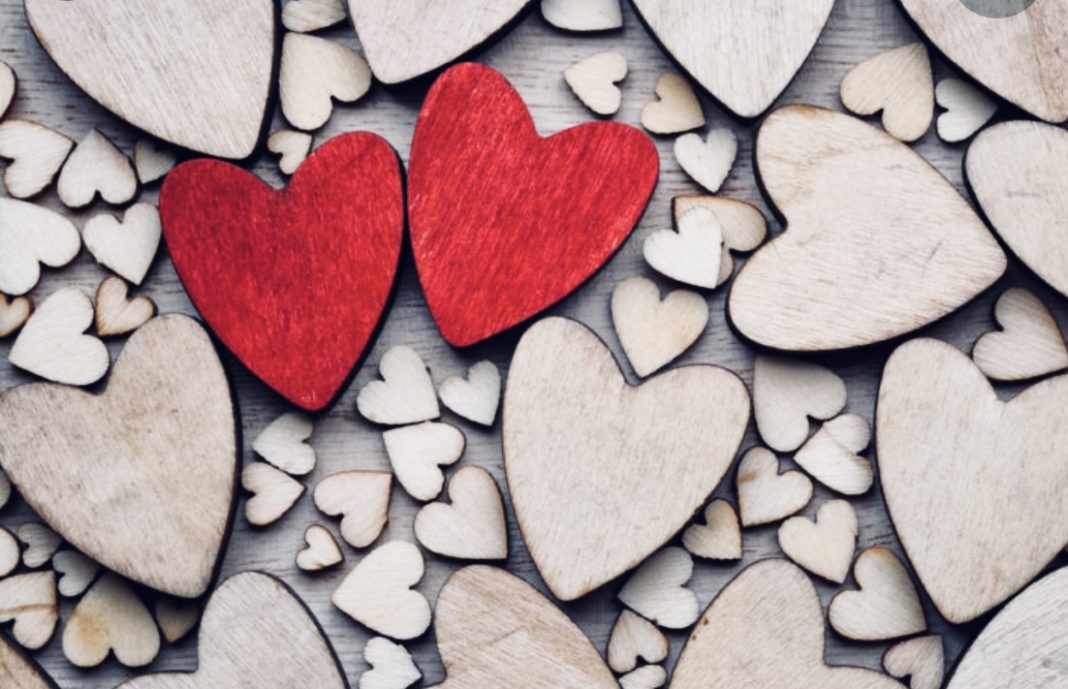 A është dashuria e vërtetë një “dashuri peshku”?