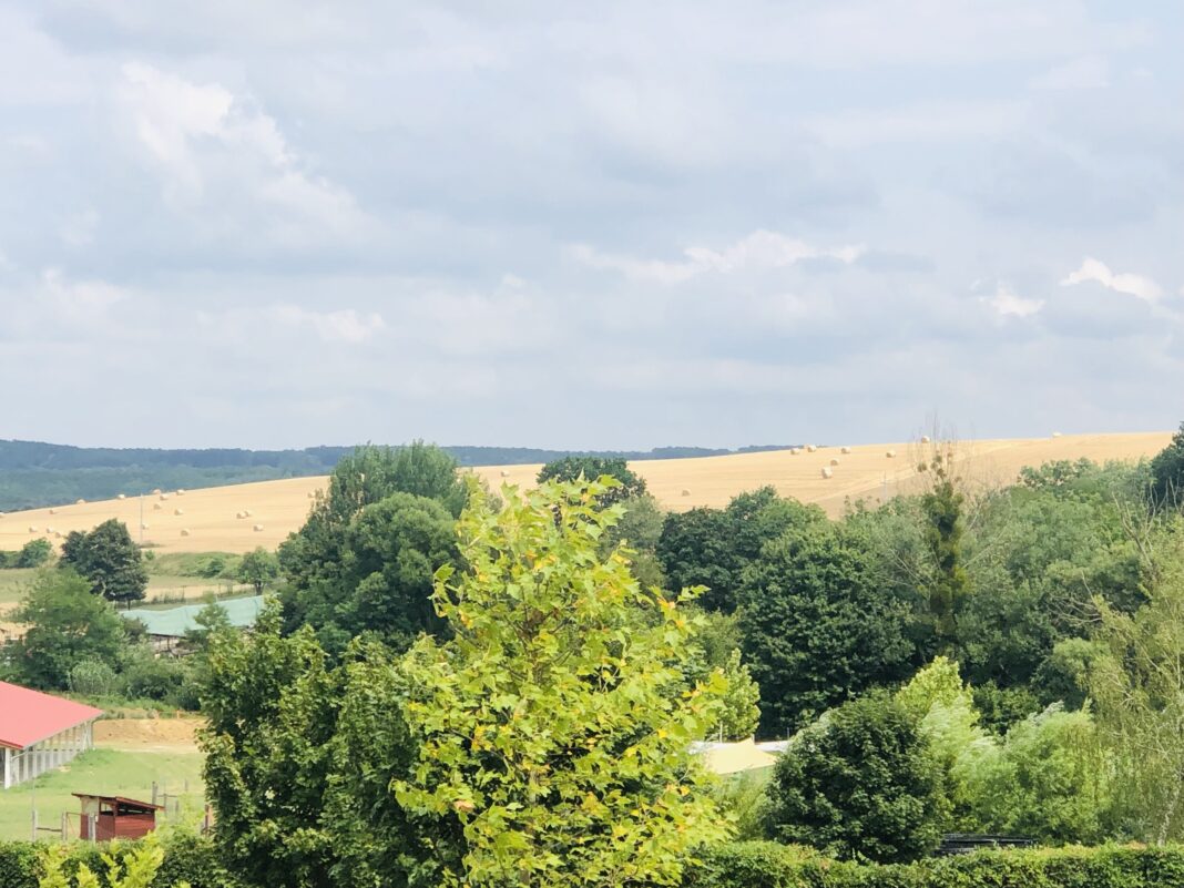 Çmimet e ushqimeve sipas indeksit global, në rënie pas një viti me rritje të vazhdueshme