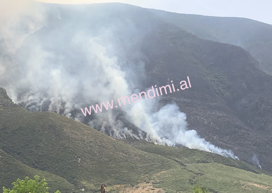Video-lajm: Vazhdojnë zjarret në zonën e Vlorës