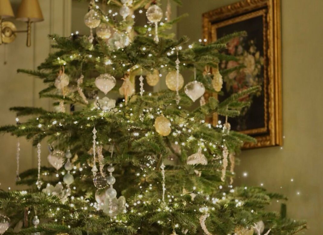 Trendi i fundvitit, bredhi natyral nga Megatek