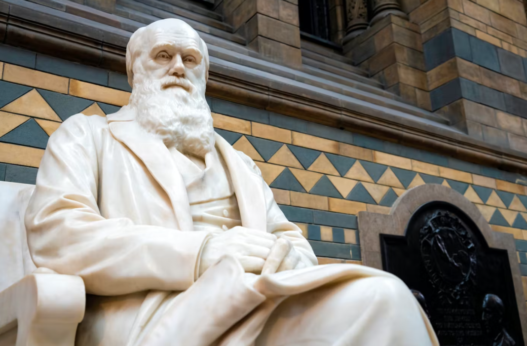 Pas 163 vitesh, kërkimet e reja sfidojnë teorinë e famshme të Darvinit për seksin