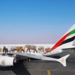 3. Emirates-Airlines