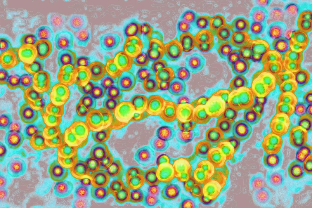 Fillimisht erdhi një stuhi virale. Tani, ne kemi superinfeksione të çuditshme.