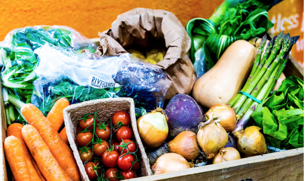 Studimi: Dieta vegane redukton masivisht dëmtimin mjedisor