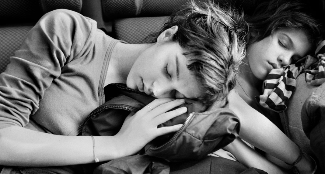 Vështirësia e të qenit vajza e madhe e familjes