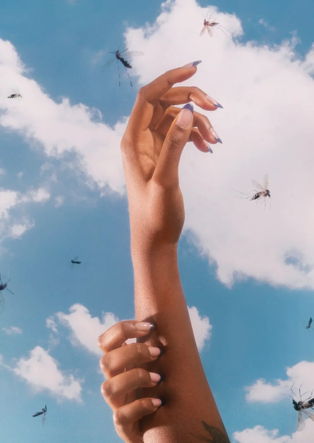 Pse më pickojnë mushkonjat?